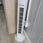 Domino